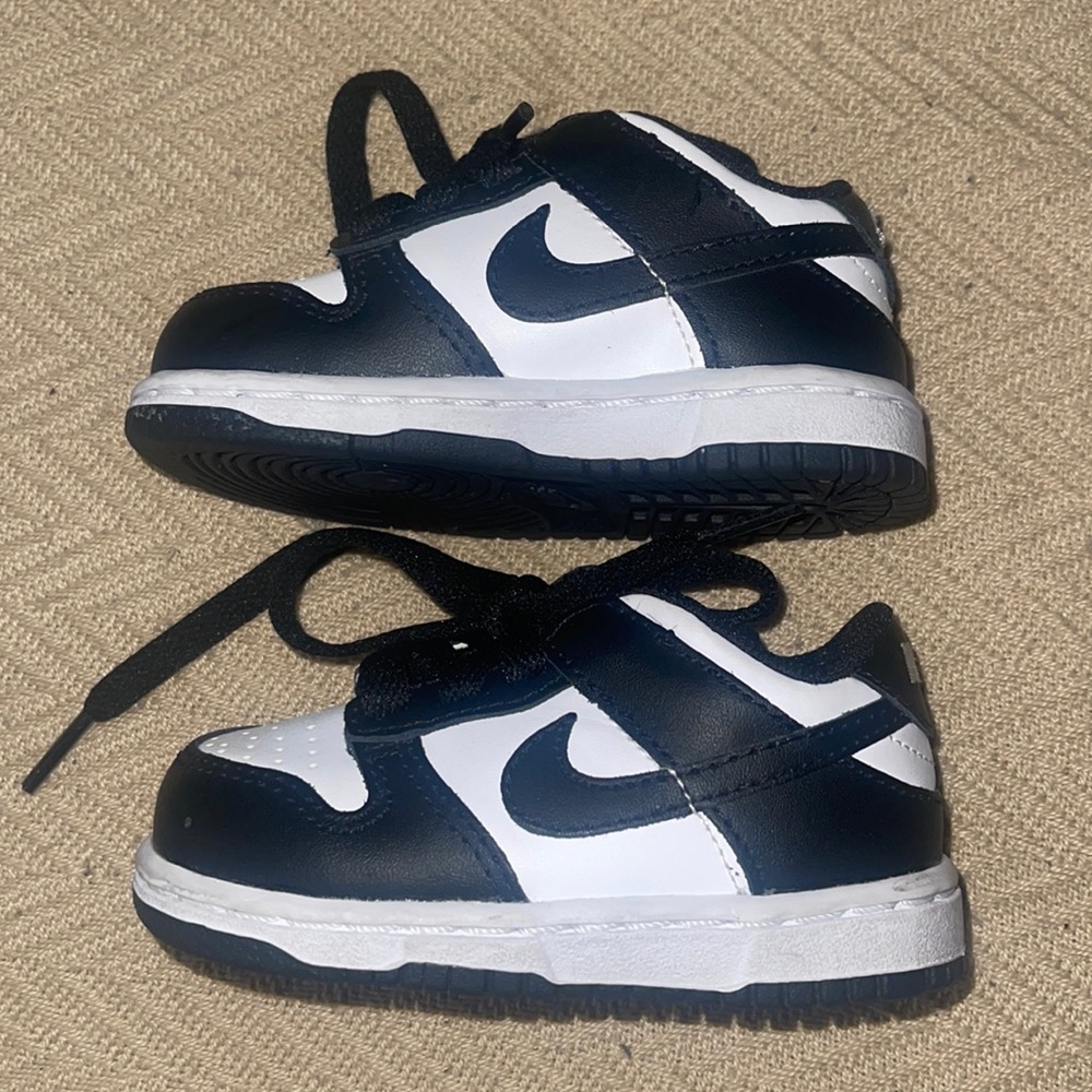 Toddler Nike Dunk Low